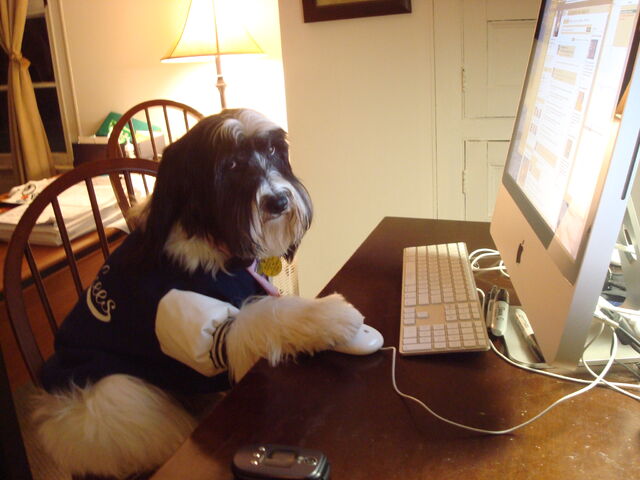 File:Can't get enough Face-Time.jpg