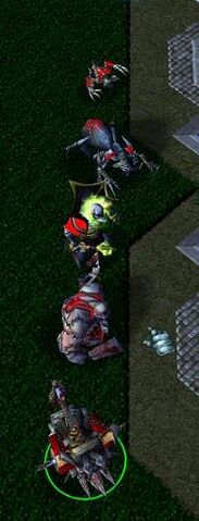 File:Undead units.jpg