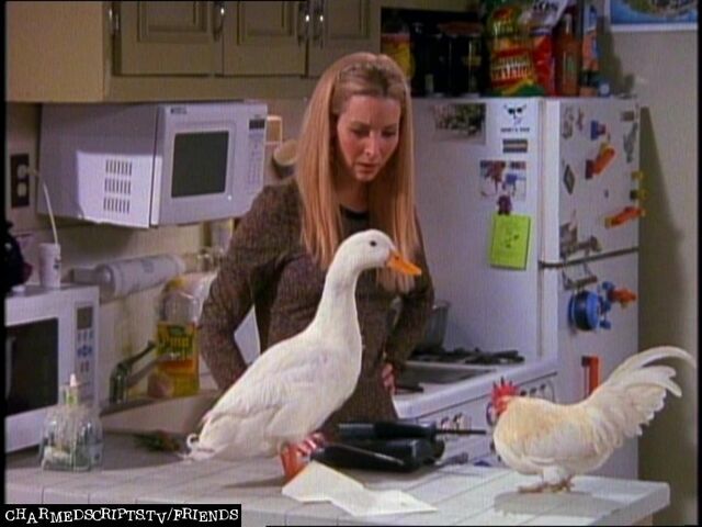 File:Phoebe-Buffay-Friends-tv-characters-5385946-768-576.jpg