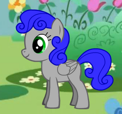 MLP41