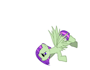 Dizzywing