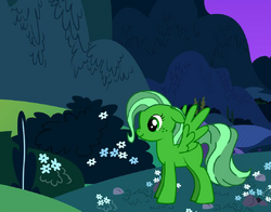Limeade