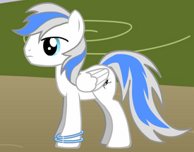 MLP14