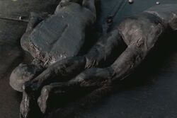 119 Bodies.jpg