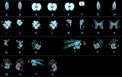 Fringe code.png