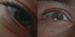 Eyes.jpg