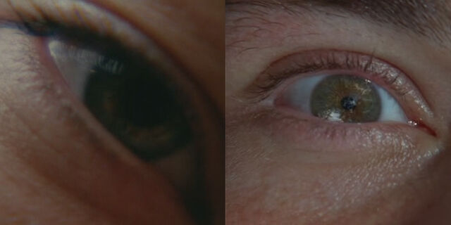 Файл:Eyes.jpg