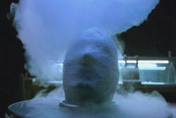 204 Cryonics.jpg