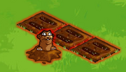 Aurared gopher