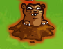 Groundhog