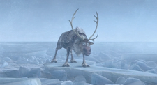 Sven na lodzie.png