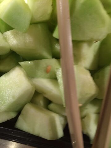 File:Honey dew melon.jpeg