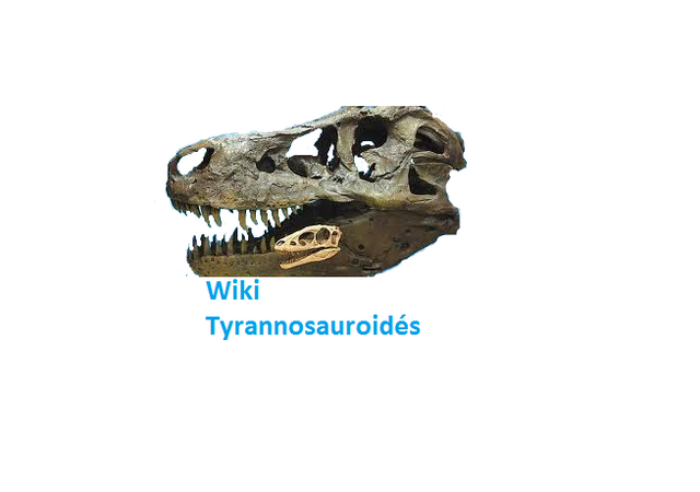 Fichier:Wiki Tyrannosauridés.png