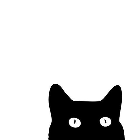 Fichier:Black-cat-poster.jpeg