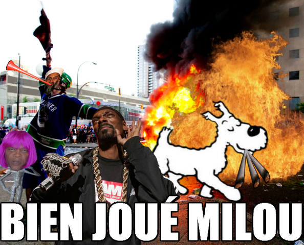 Fichier:Bien Joué Milou.png