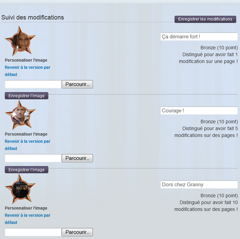 Fichier:Distinctions - personnaliser.png