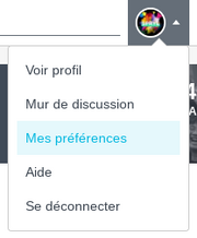 SurbrillancePréférences.png