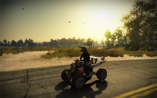 File:FUEL 2010-05-31 18-49-37-20.png