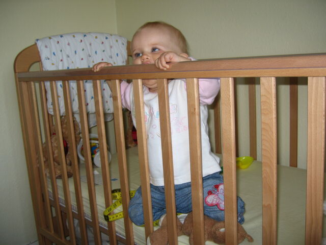 File:Standing-in-cot-9-nine-month-old-stella-.jpg