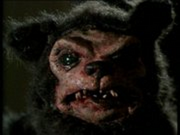 Grizzly-teddy-1-