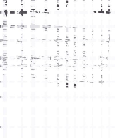 File:Penis.png