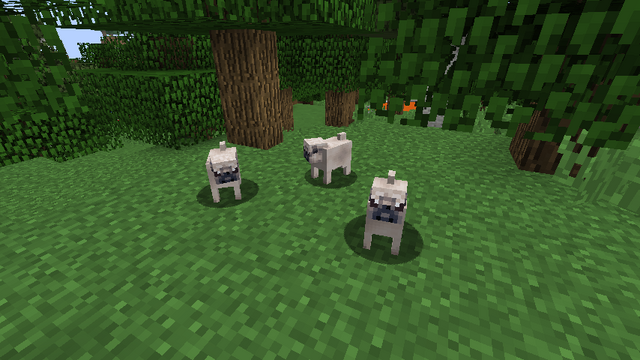 File:Pug.png