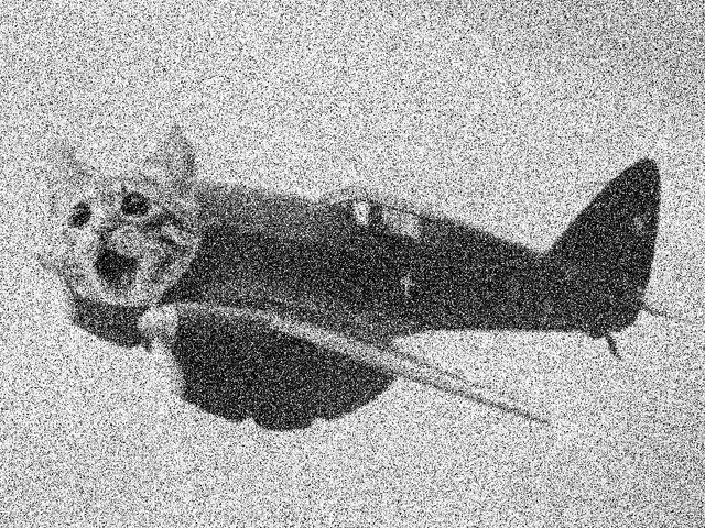 File:TypicalCatPlane.png