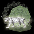 Thumbnail for version as of 05:26, May 23, 2010
