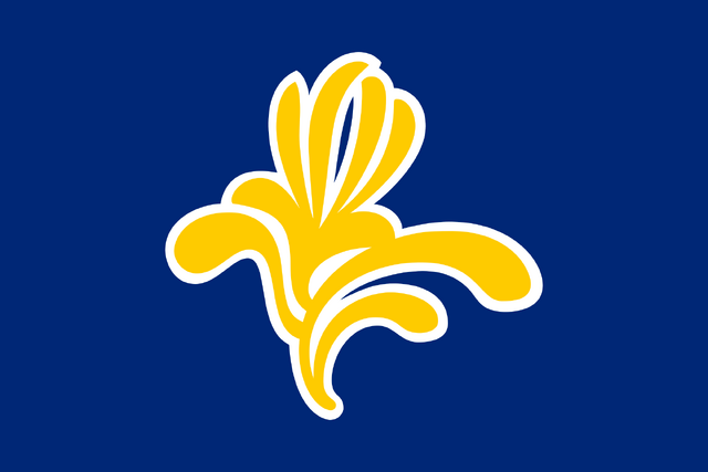 File:2000px-Flag Belgium brussels.svg.png