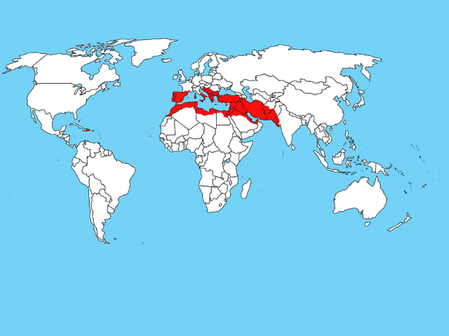 File:Nazi greek reich.png