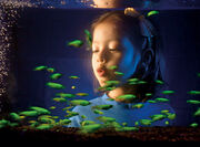 Glowing invfish