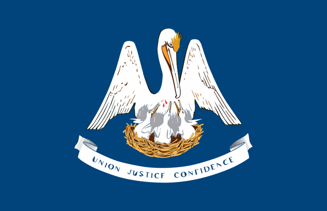 File:Louisiana flag.png