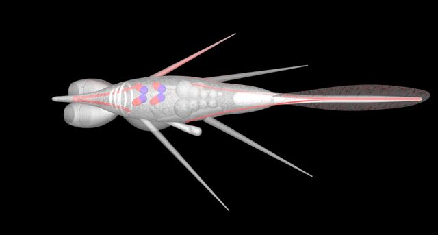 File:AlienFish.jpg