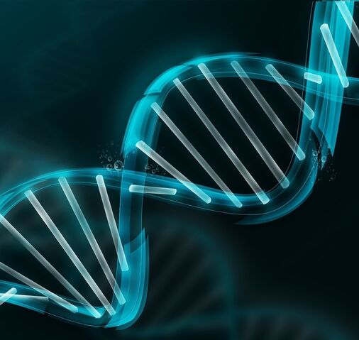 File:Biology2.jpg
