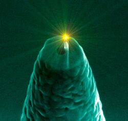 TelevisionNanoantenna