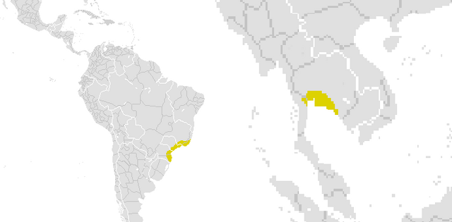 File:Gold6789.png