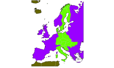 13527900597591