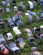 Environmental degradation small