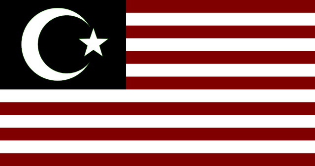 File:IslamicAmericaFlag.png