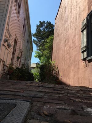 IMG 0736