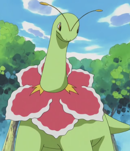 File:Casey Meganium.png