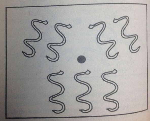 File:Tile7.jpg