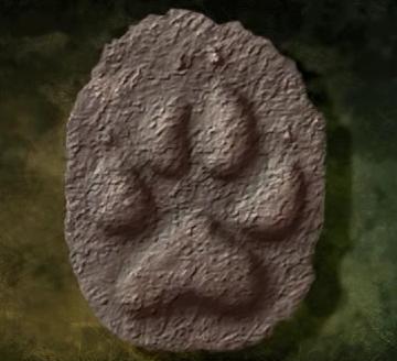 File:Paw print.jpg