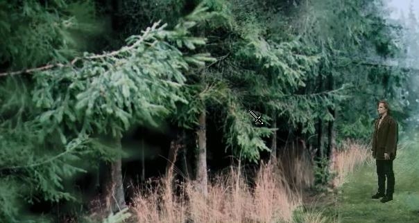 File:Huber Woods.jpg