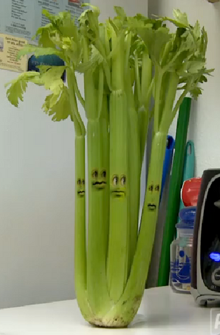 File:Celery 2011.png
