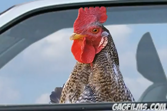 File:Hot chick's dad.png