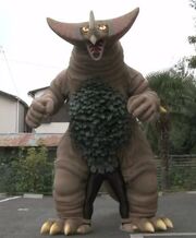 Gomora