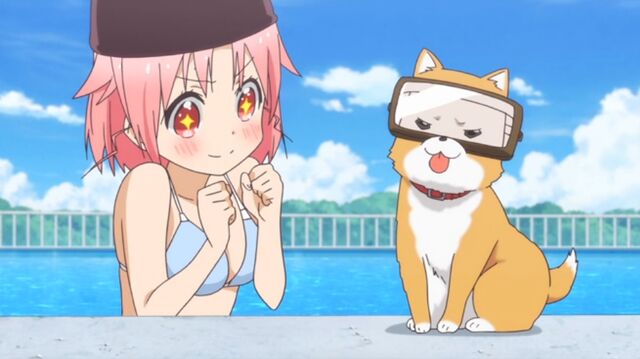 File:Yuki adores Tarumarus goggles.jpg