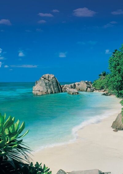 Paradise Cove (A)