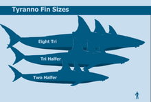 Tyranno sizes